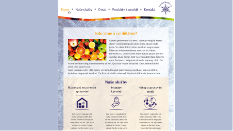 Grafický návrh webu